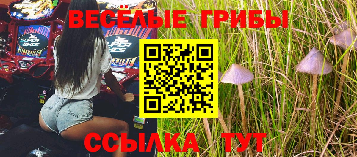 Псилоцибиновые грибы мицелий Владивосток