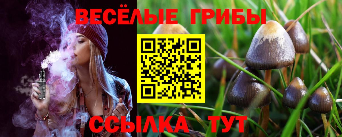 Псилоцибиновые грибы прущие грибы  даркнет сайт  Галлюциногенные грибы Cubensis  Владивосток  Вход с VPN 